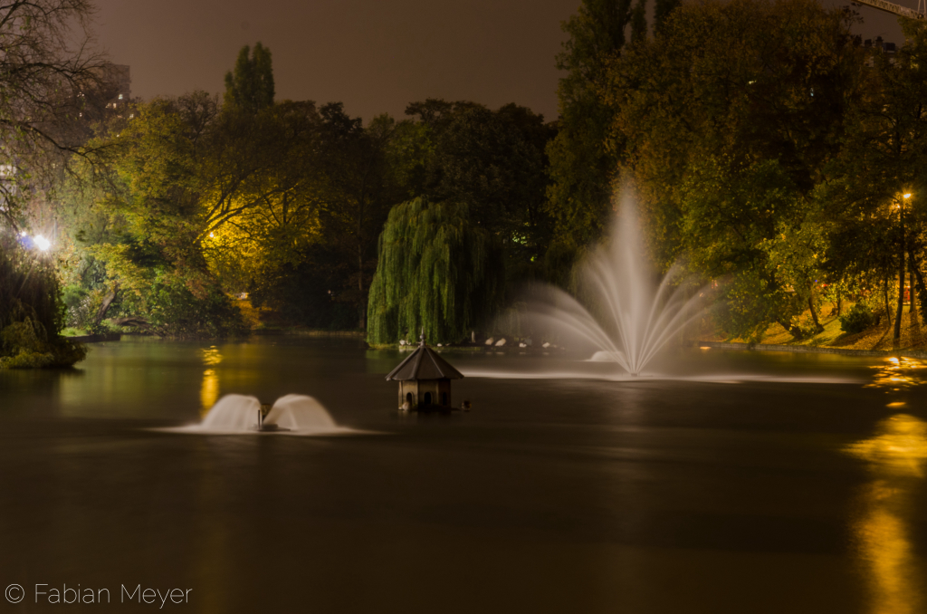 Galeriebild _DSC0656.jpg