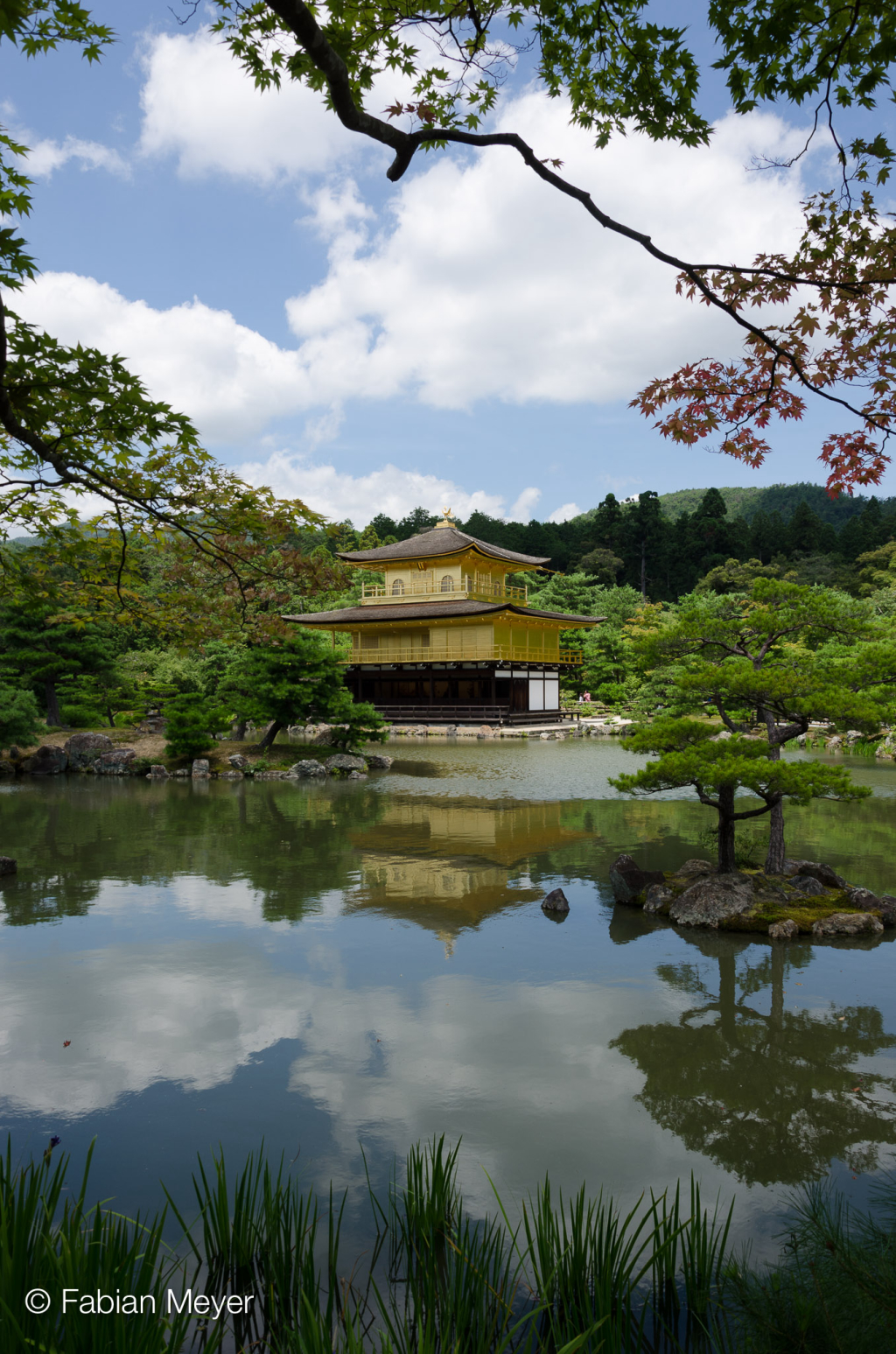 Galeriebild DSC_0017.jpg