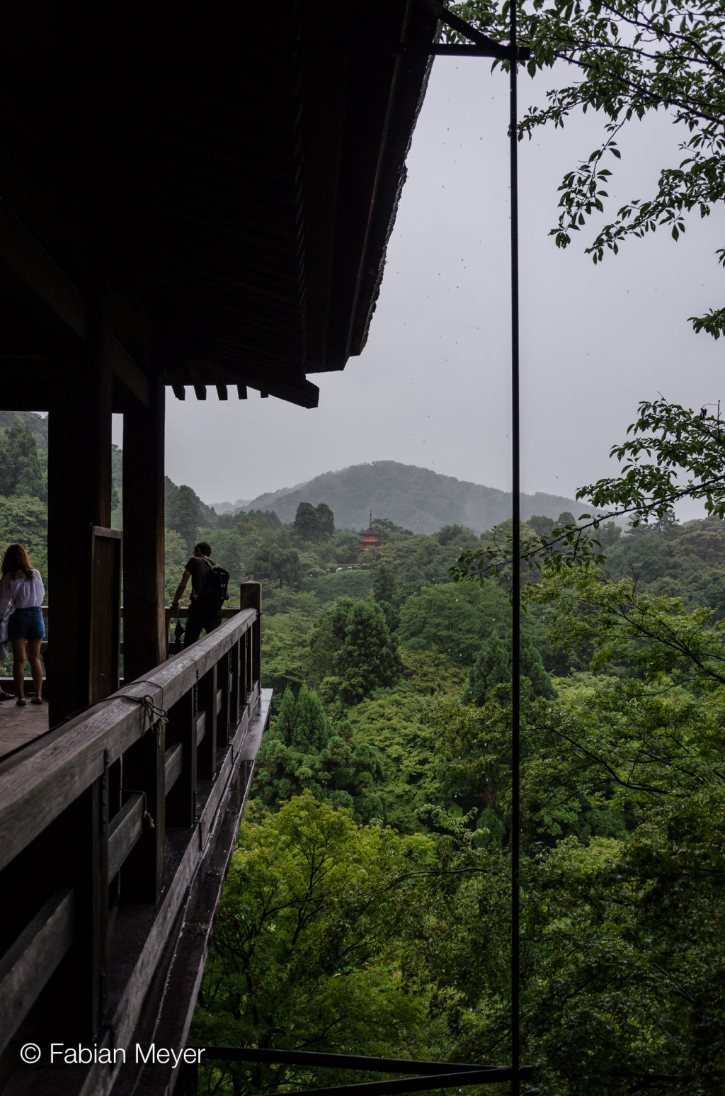 Galeriebild DSC_0155.jpg