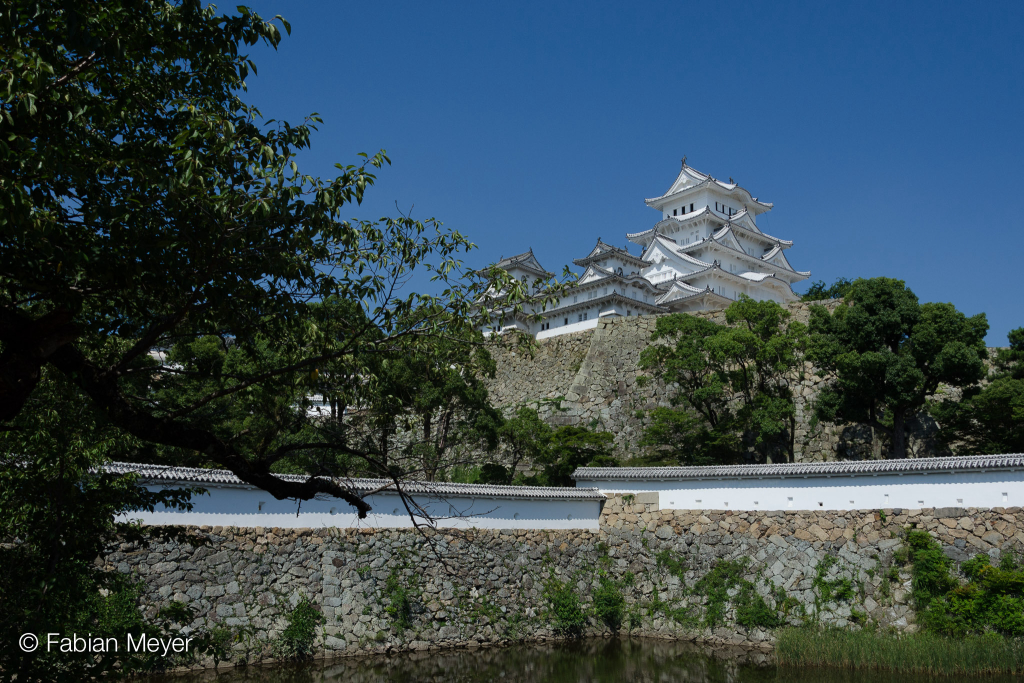 Galeriebild DSC_0183-2.jpg