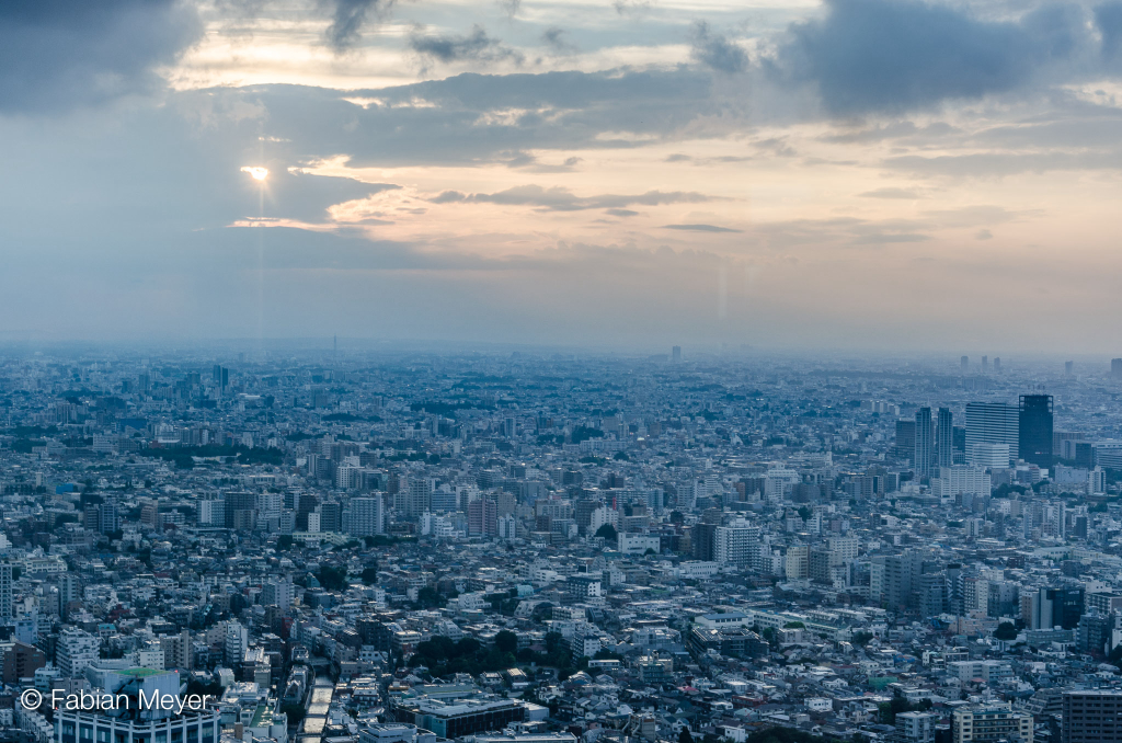 Galeriebild DSC_0904-2.jpg