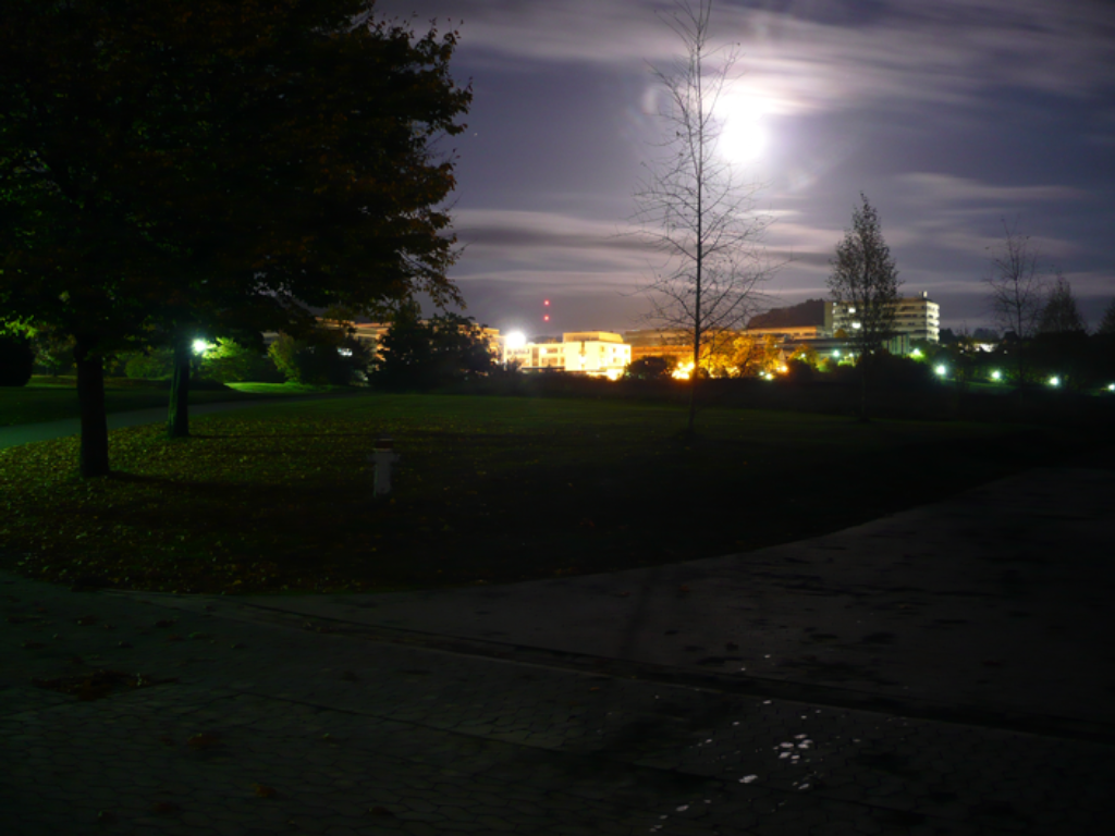 Galeriebild biologie_im_mondlicht.png