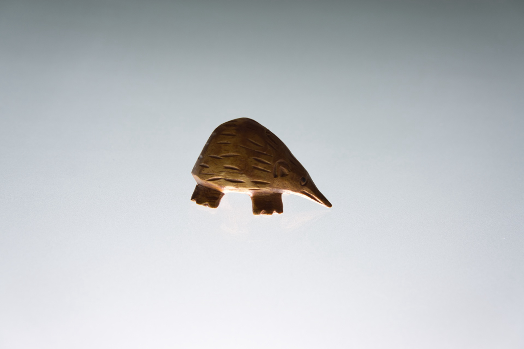 Galeriebild _DSC6944.jpeg